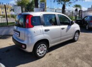 FIAT PANDA 1.2 69 CV EASY