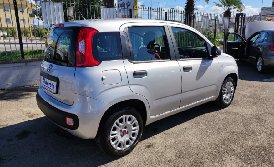 FIAT PANDA 1.2 69 CV EASY