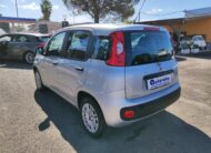 FIAT PANDA 1.2 69 CV EASY